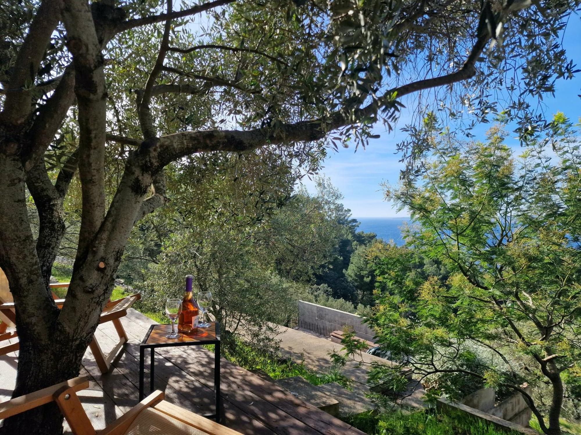 Holiday Home Maslinova Vela Luka Dış mekan fotoğraf