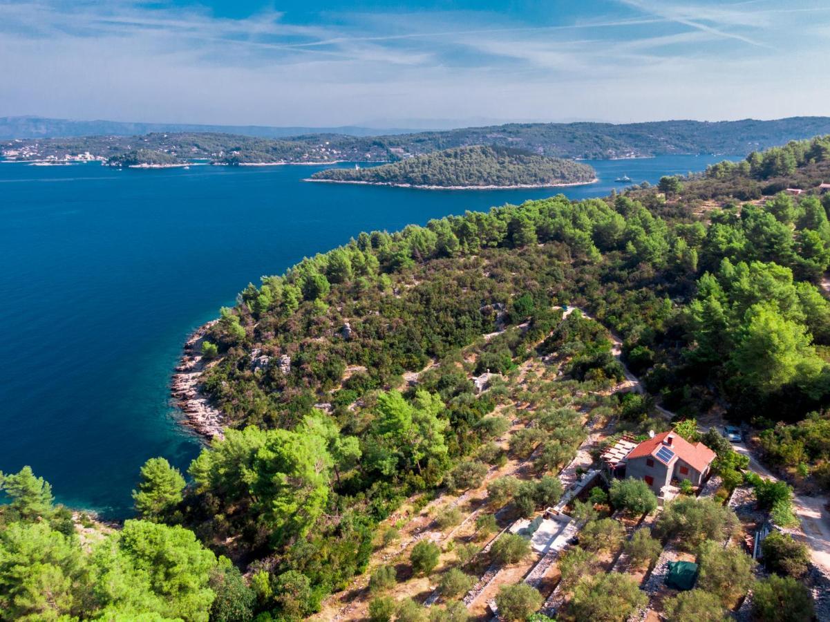 Holiday Home Maslinova Vela Luka Dış mekan fotoğraf