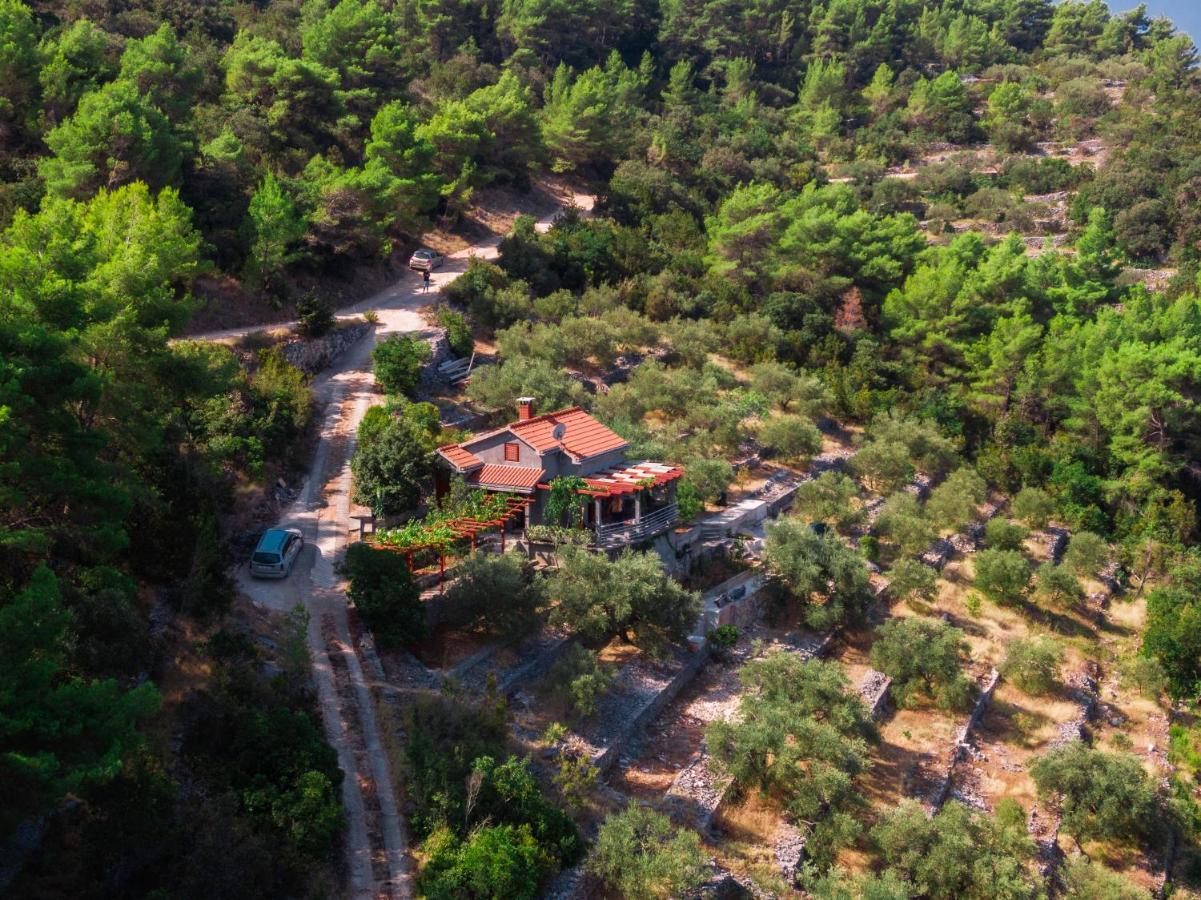 Holiday Home Maslinova Vela Luka Dış mekan fotoğraf