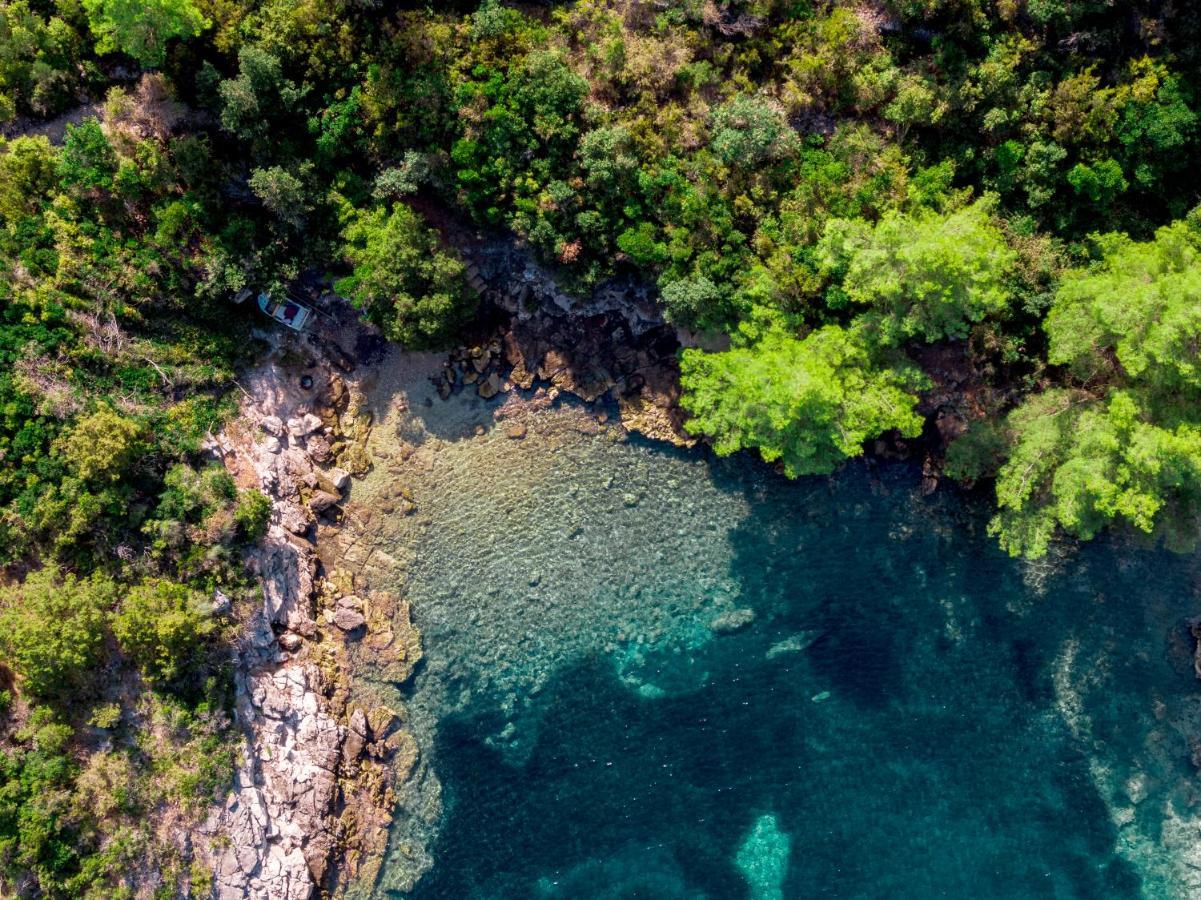 Holiday Home Maslinova Vela Luka Dış mekan fotoğraf