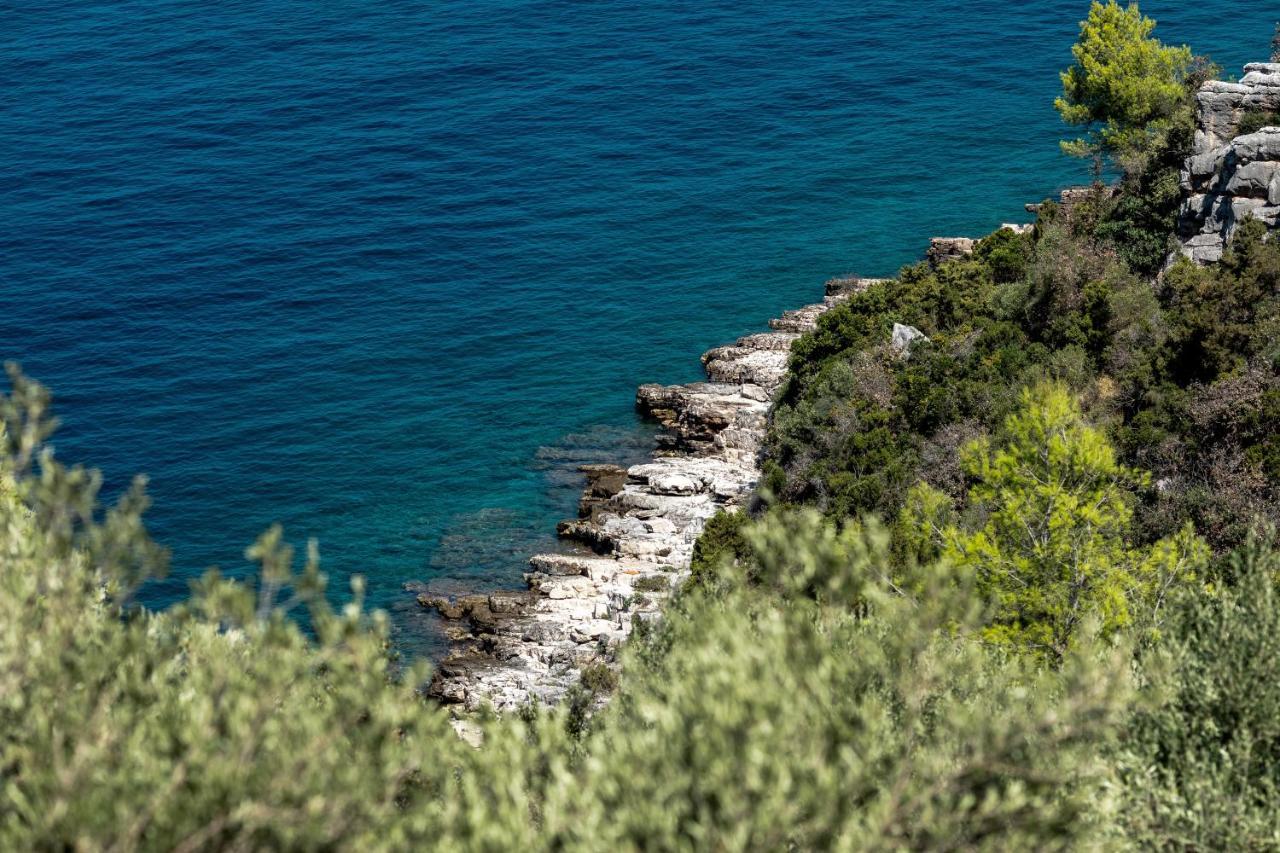 Holiday Home Maslinova Vela Luka Dış mekan fotoğraf